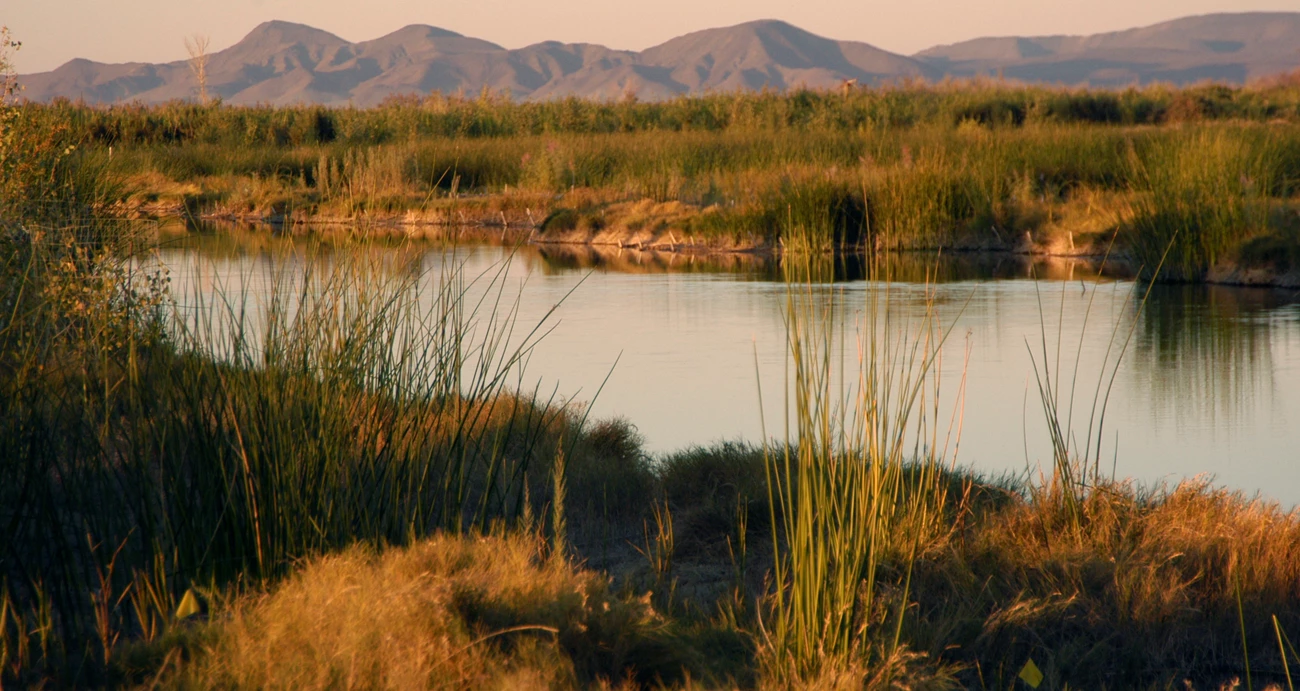 Yuma East Wetlands Marshland along a river with mountains in the distance