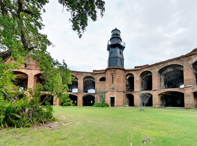 Photograph of tree and lighthouse at Fort Jefferson