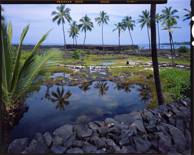 View of Hawaiian landscape with fishponds, palm trees, and heiau in the distance