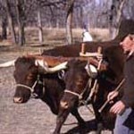 Bent's Old Fort, Colorado