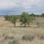 Sand Creek Massacre, Colorado