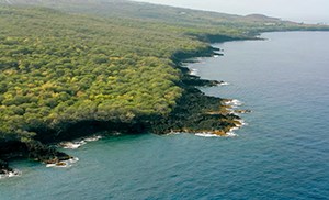 A green landscape meets blue water