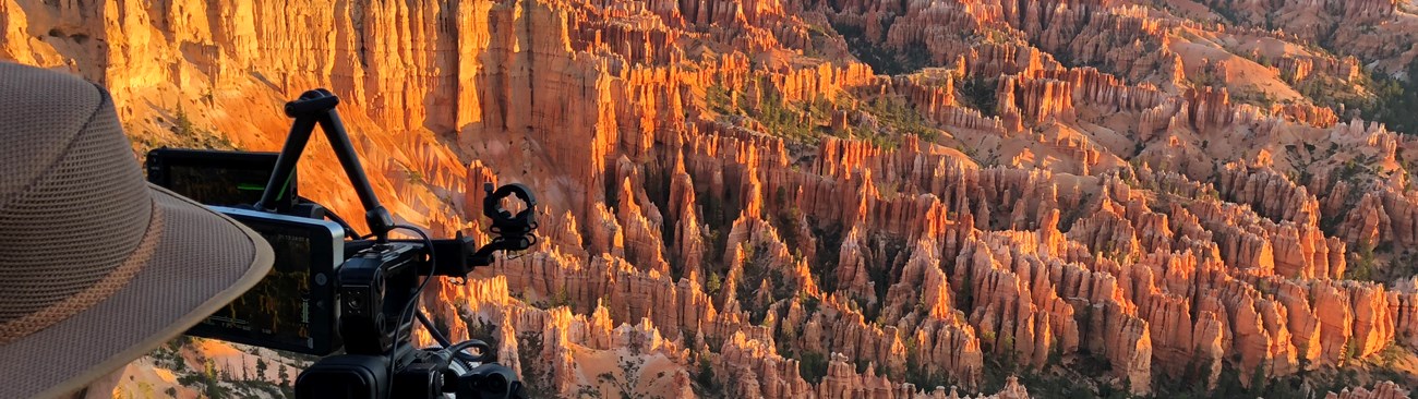 BackToNature_BRCA BackToNature_BRCA