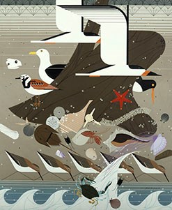 Various birds painted by Charley Harper