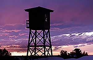 Minidoka an american concentration camp2