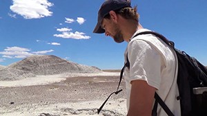 PEFO_DinosaursInTheDesert