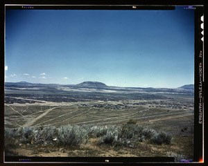 Tule Lake Segregation Center during World War II