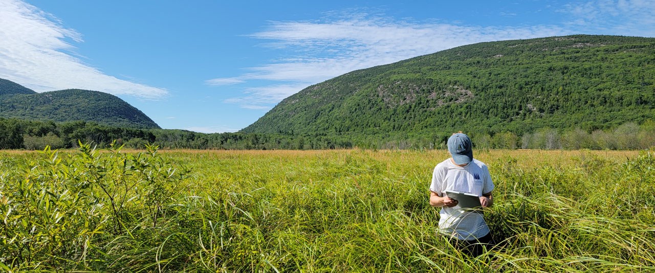 Saving Endangered Keystone Species: Key to Ecosystem Restoration