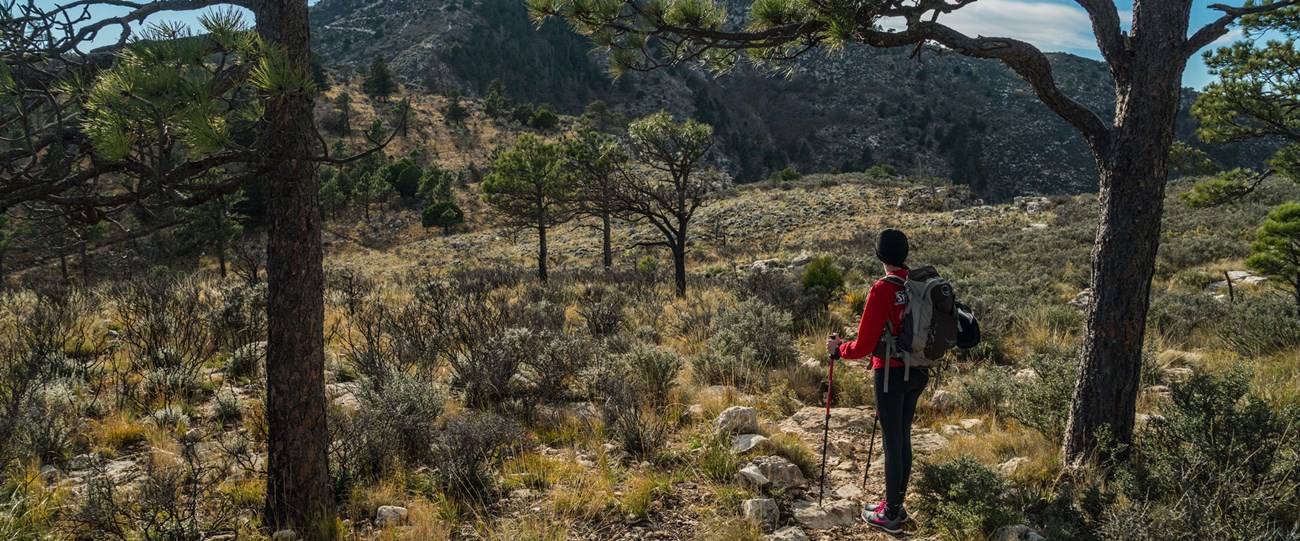 a hiker stops to admire a mountain in the distance