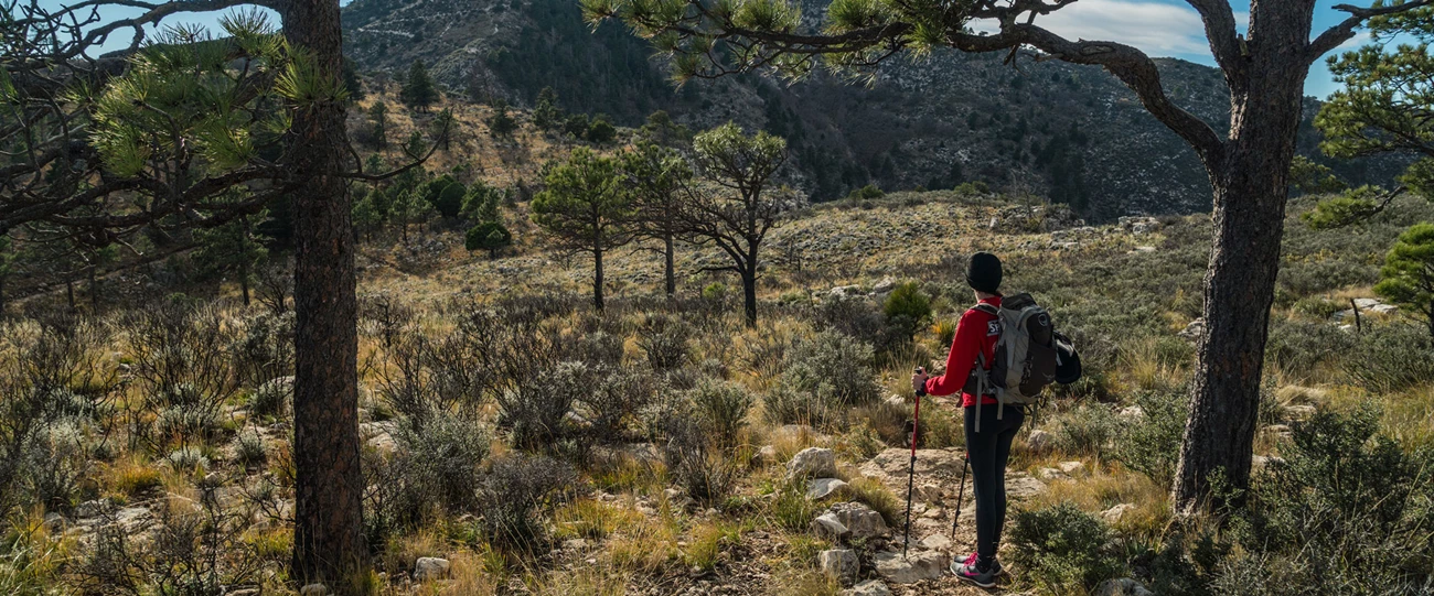 Guadalupe Mountains a hiker stops to admire a mountain in the distance