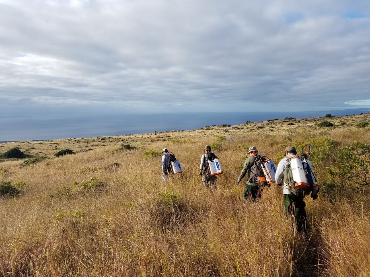 Crewmembers of the Pacific Island Exotic Plant Management Team travel to their field site in Hawaii. NPS Photo