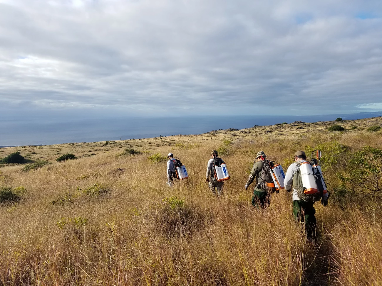 PIEPMT_Fieldwork_1 Crewmembers of the Pacific Island Exotic Plant Management Team travel to their field site in Hawaii. NPS Photo