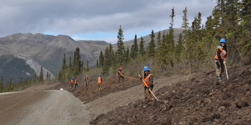 Youth crew restoration work along the Park Road in Denali National Park & Preserve.