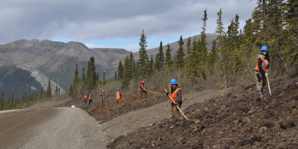 Youth crew restoration work along the Park Road in Denali National Park & Preserve. Youth crew restoration work along the Park Road in Denali National Park & Preserve.