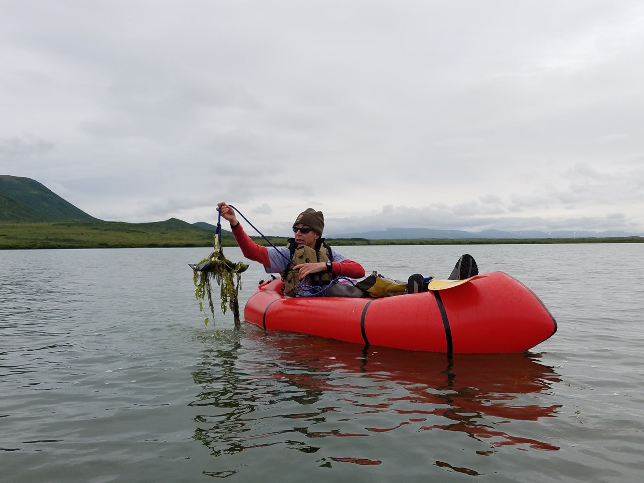A member of the Alaska Exotic Plant Management Team (EPMT) surveys for Elodea spp. in Katmai National Park and Preserve.