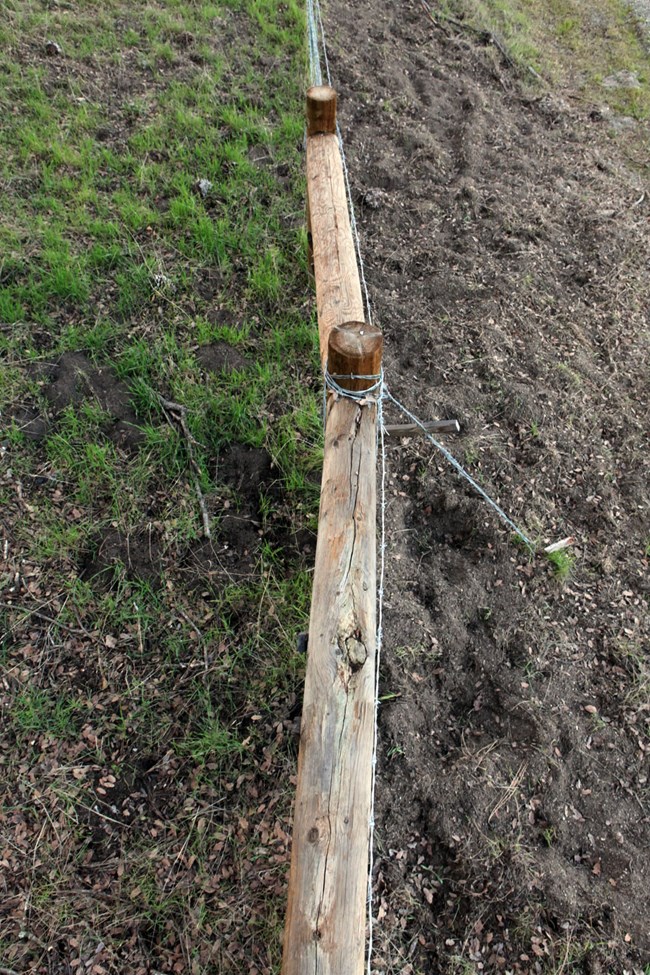 PINN_insideoutsidepigs fence separates muddy field from grassy field