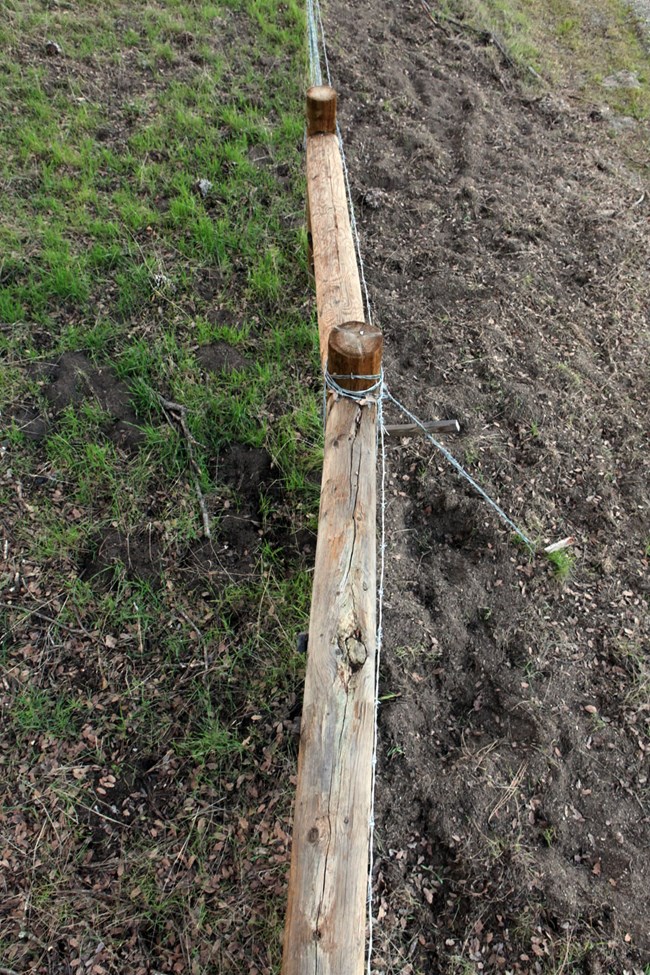 fence separates muddy field from grassy field