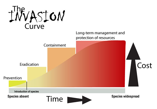 Graphic of the invasion curve of invasive species Graphic of the invasion curve of invasive species