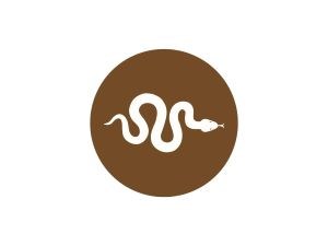 pet ownership snake icon