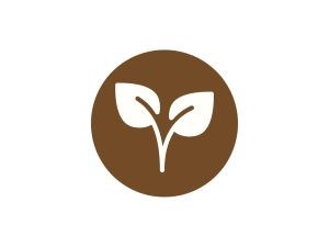 Ornamental plant plant icon