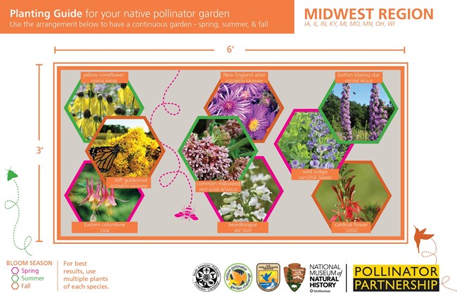 a regional native pollinator planting guide for the midwest region