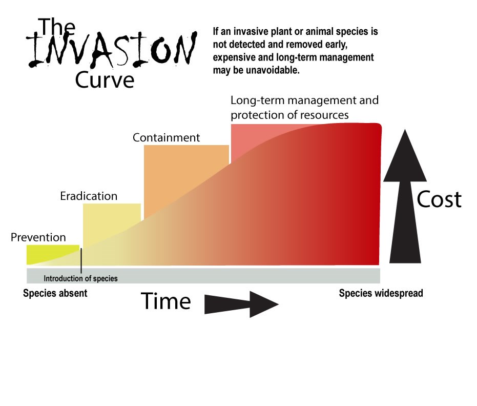 Invasion Curve infographic that explains invasive speces; alt text in next section