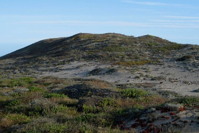 Location on San Nicolas Island of whalebone hut remains. Courtesy of Steve Schwartz.