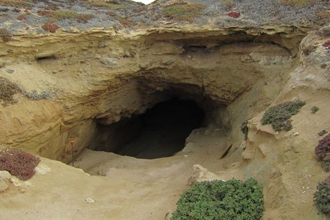 Cave entrance. Tan rock with shrubs surrounding it.