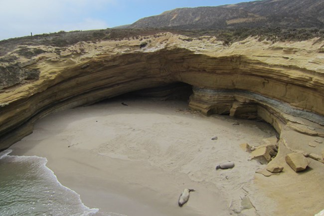 San Nicolas Island coastline. © Steve Schwartz