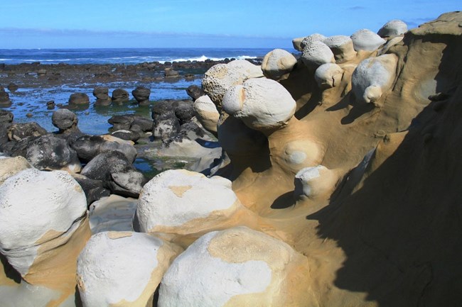 lt= San Nicolas Island coastline. © Steve Schwartz