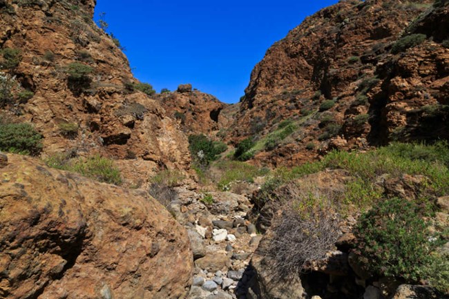 brown rocky cliff sides with green shrubs growing between and on them