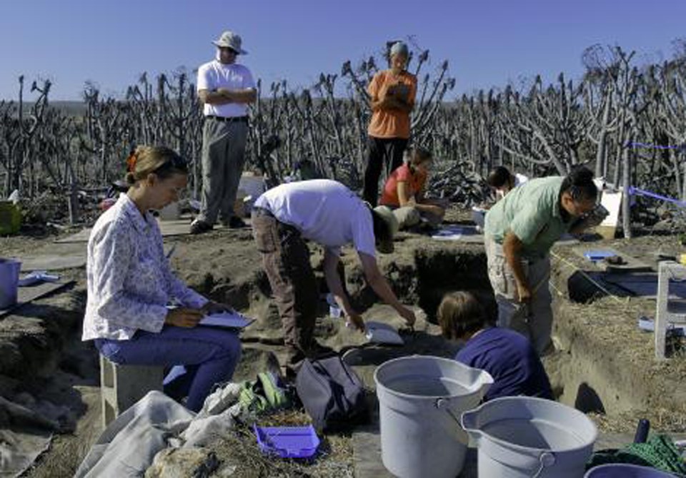 University students conducting research at Tule Creek Village site on San Nicolas Island