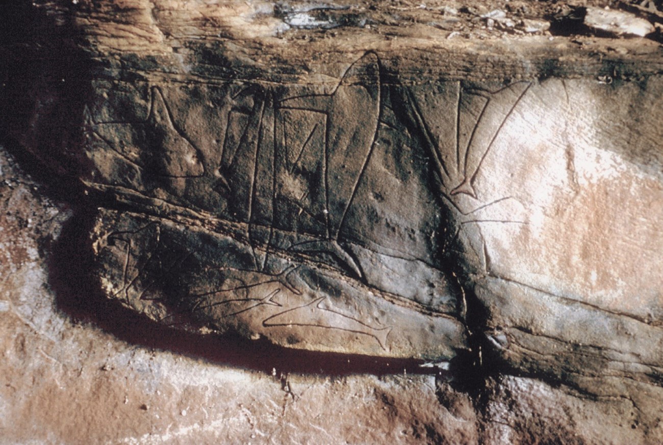 Pictures of Native American Indian petroglyphs in shape of whales.