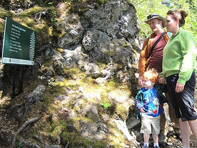 A woman, man, and child read a poem on a sign next to a trail.