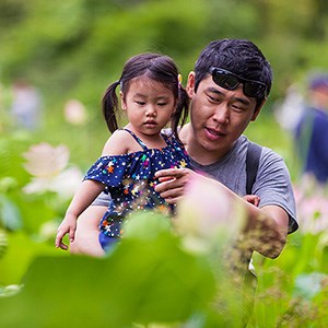 A man holds a little girl while pointing at lotus flowers