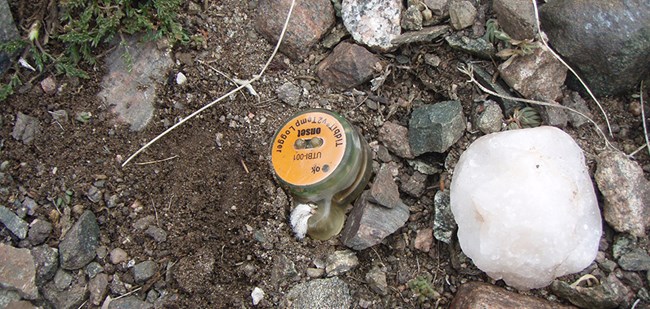 soil temperature datalogger A small, round, orange topped device rests on the ground.