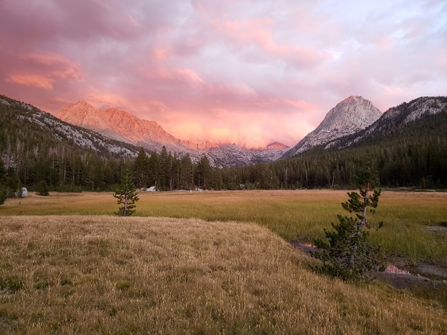 View over grassy meadow with view of sunset and mountains in background
