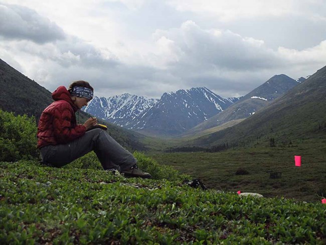 A woman records data in a high alpine meadow with mountains in the background.