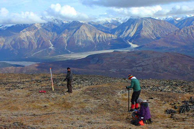 Researchers set up snow-depth poles as part of a study.