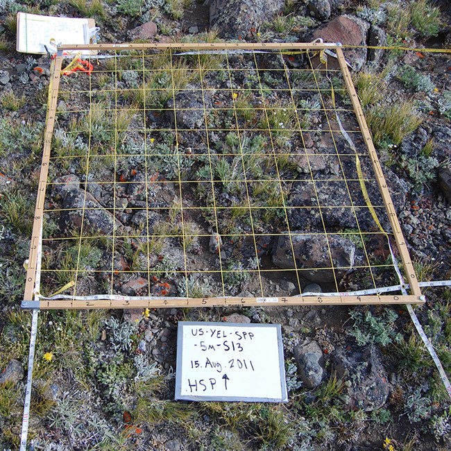 Square-meter frame divided in 100 squares lays on the tundra next to white boards with plot name.
