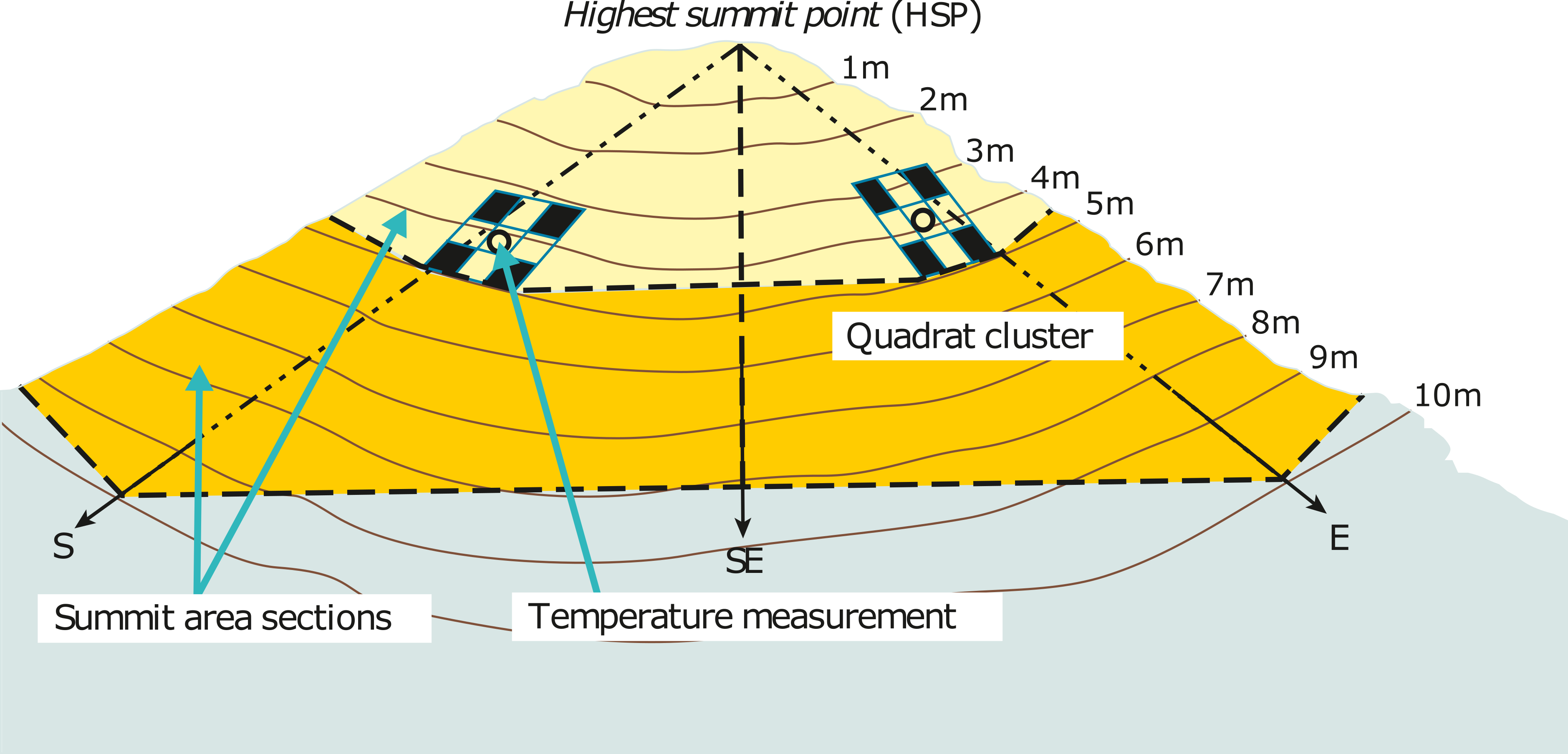 Schematic of a mountain peak with monitoring plots laid out around the summit.