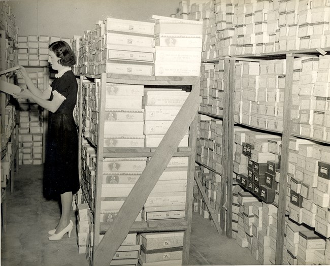 Woman in collections storage