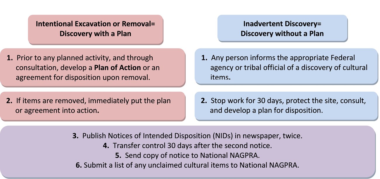 NAGPRA on Federal or Tribal Land Flowchart illustrating the process for NAGPRA on Federal or Tribal Lands