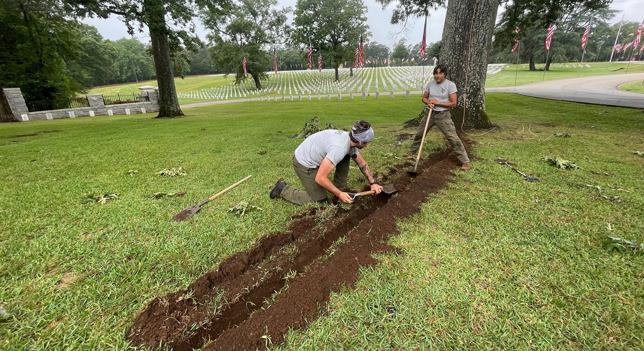 Two NPS employees dig a radial trench outward from the base of a large tree to bury a wire that extends up into the tree. A cemetery is in the background