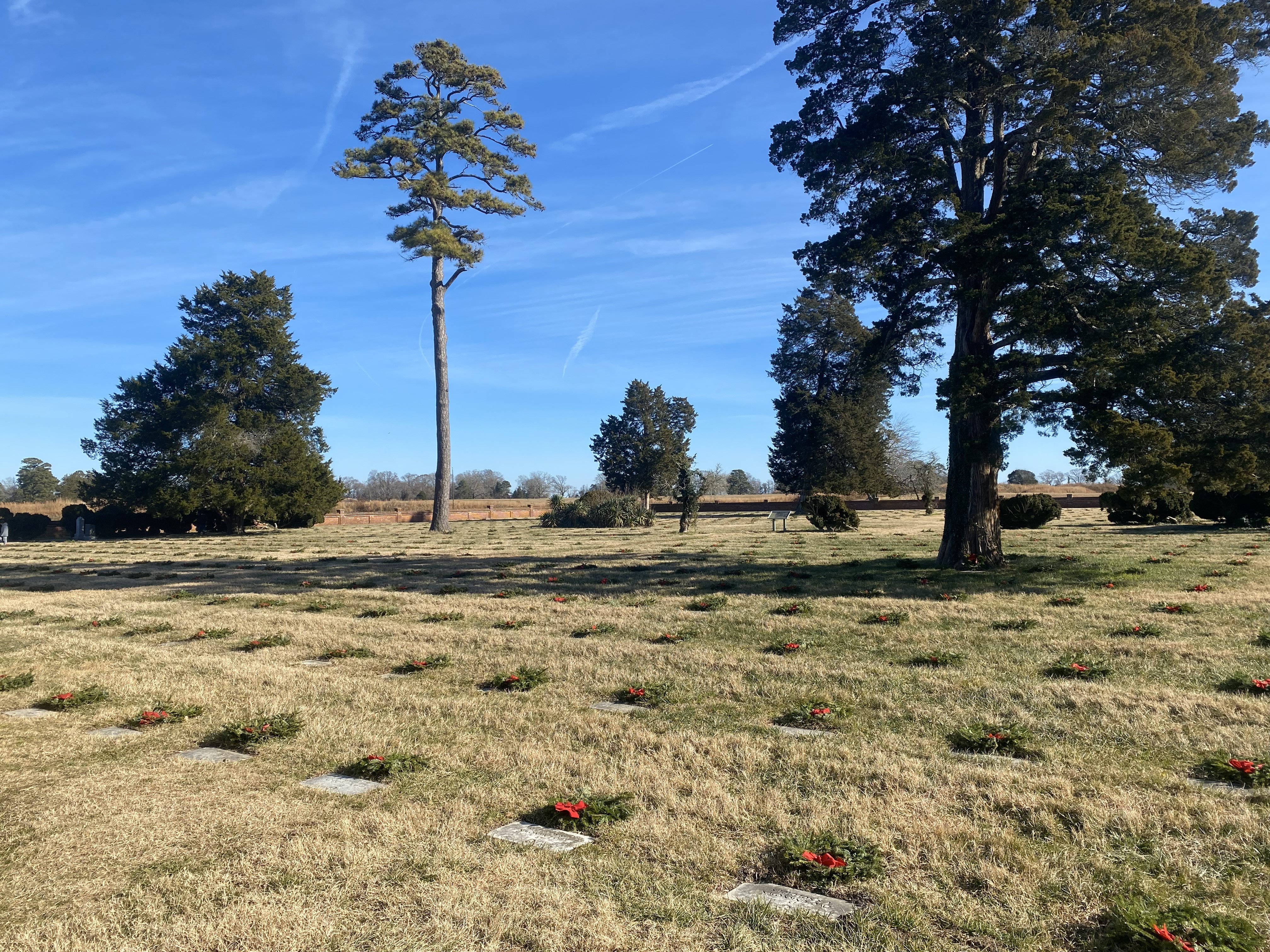 Wreaths with red bows lay in front of each grave marker in a national cemetery