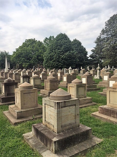 view of the Congressional Cemetery with treeline in background