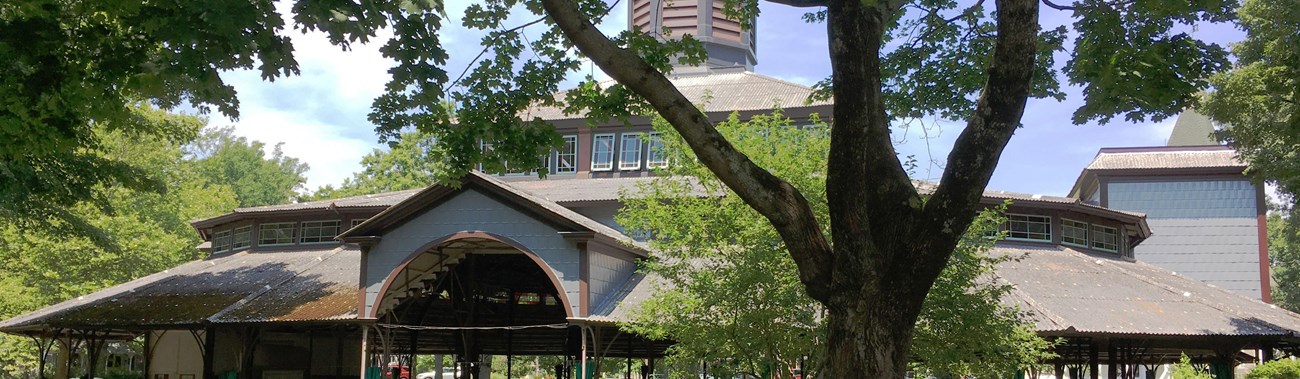 Martha's Vineyard Campground Tabernacle Martha's Vineyard Campground Tabernacle nestled behind trees in Wesleyan Grove