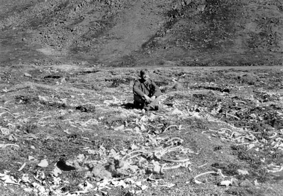 Ayveghyaget site in 1985 Ayveghyaget site in 1985