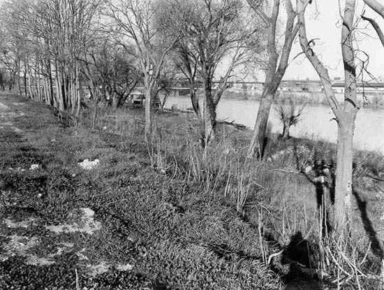 cannery site in 1964