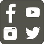 Social Media Icon